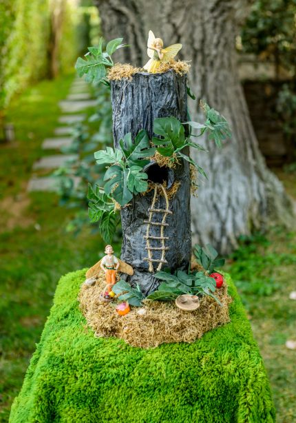 Can You See Me Fairies