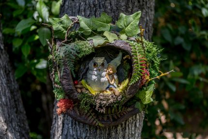 The Owl and the Little Pixie