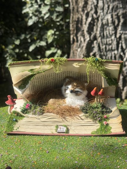 Baby Fox In a Book